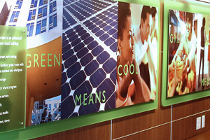 Rincon Green Lobby Displays